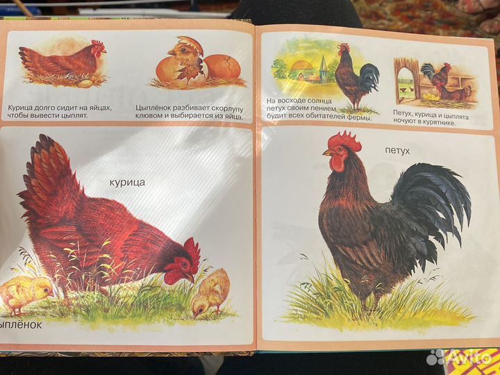 Твоя первая энциклопедия животные