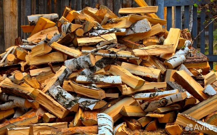 Дрова Береза