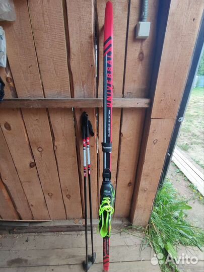 Беговые лыжи