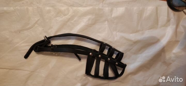 Намордник и шлейка для средних собак