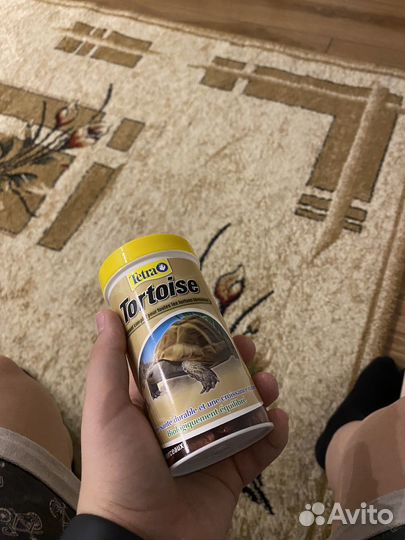 Корм для черепах