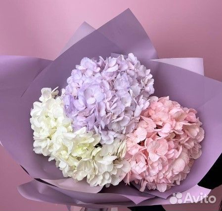 Букет Гортензии Цветы Гортензия