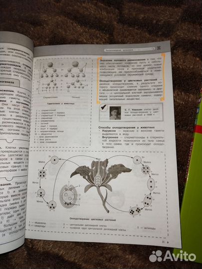 Биология егэ огэ справочник
