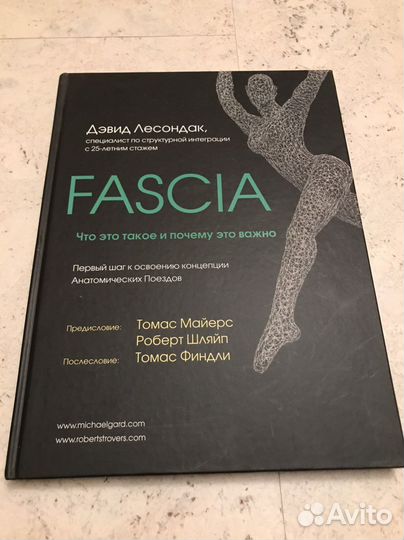 Фасция, Дэвид Лесондак
