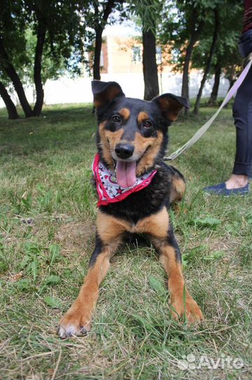 Мальчик Чарли подарить шанс на счастливую жизнь