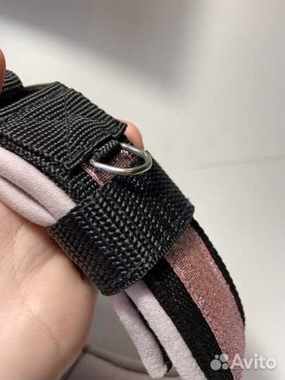 Ошейник для собак