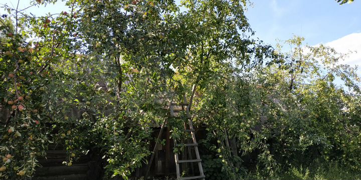 Дом 50 м² на участке 12 сот.