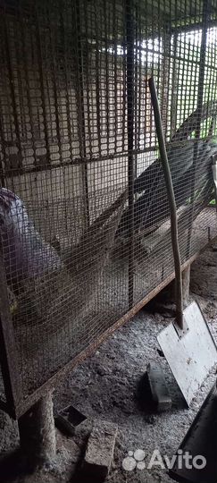 Клетка металлическая