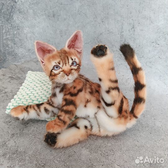 Бенгальский котенок ручной работы