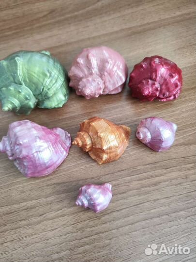 Набор ракушек