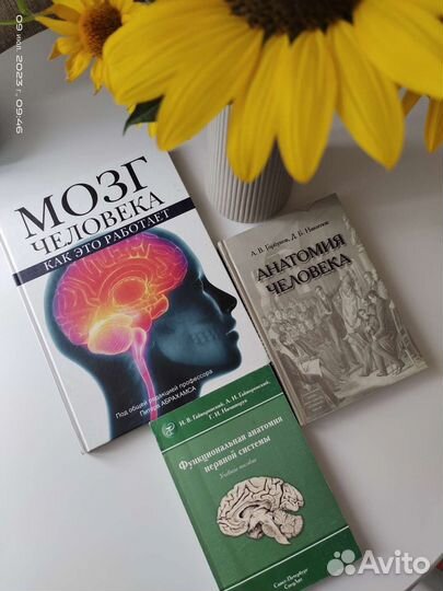 Книга анатомия человека, мозга