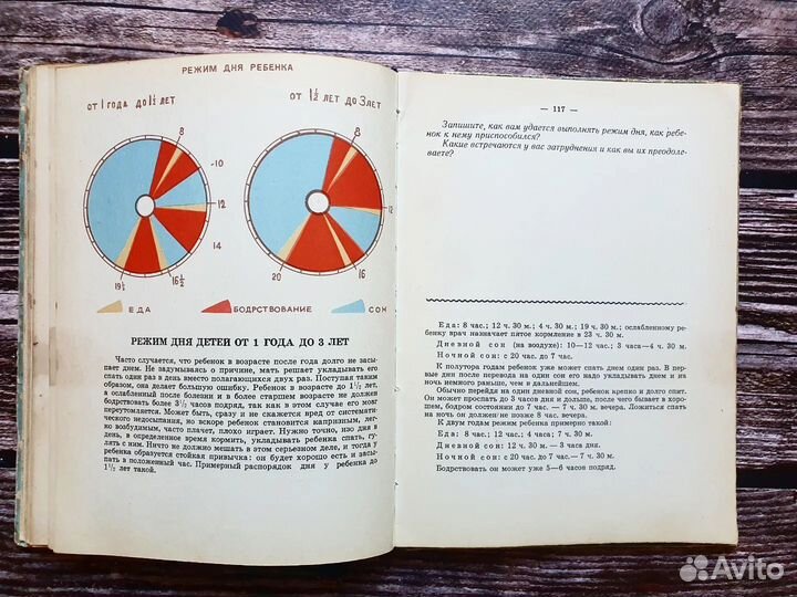 Берковиц, Эйгес. Дневник матери 1959 г