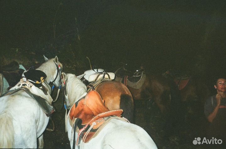 Плёночный фотоаппарат