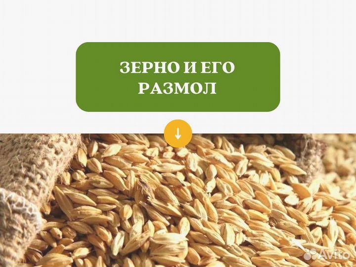 Пшеница Размол (кг)