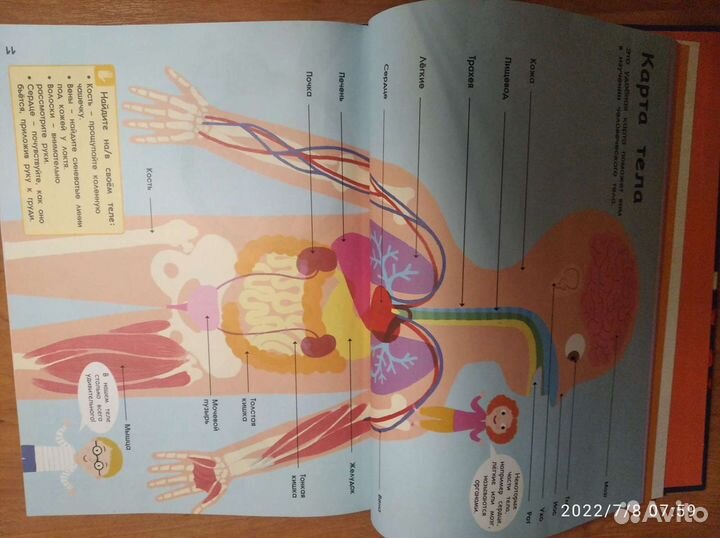 Невероятное путешествие вокруг/внутри челов. тела