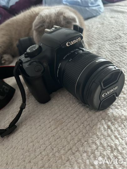 Зеркальный фотоаппарат canon eos 1100d