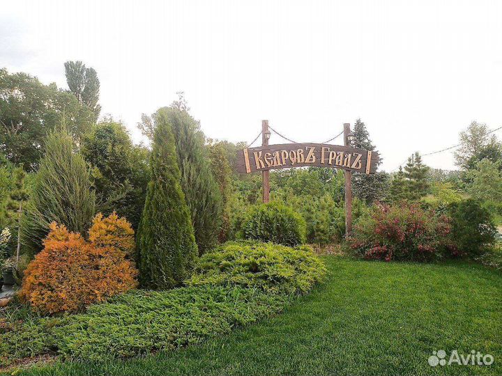 Сотрудник питомника растений