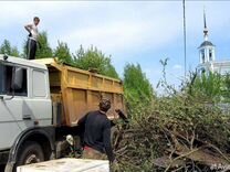 Заявление на вывоз мебели из офиса