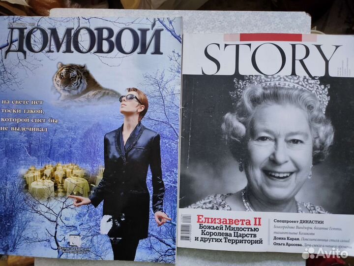 Журналы Стори(Story), Домовой для домашнего чтения