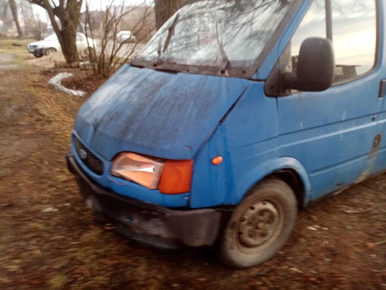 Ford Transit: фото владельца