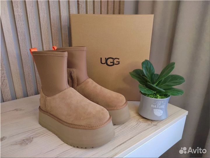 Угги натуральные женские UGG Classic Dipper Chestn