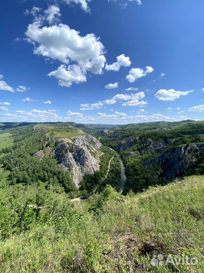 Конные прогулки