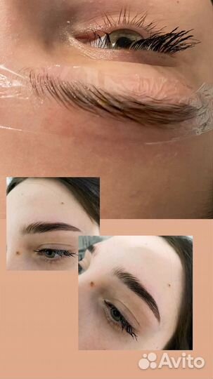 Мастер бровист