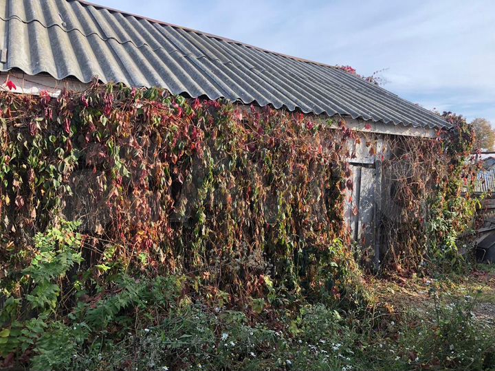 Дом 48,1 м² на участке 6,7 сот.