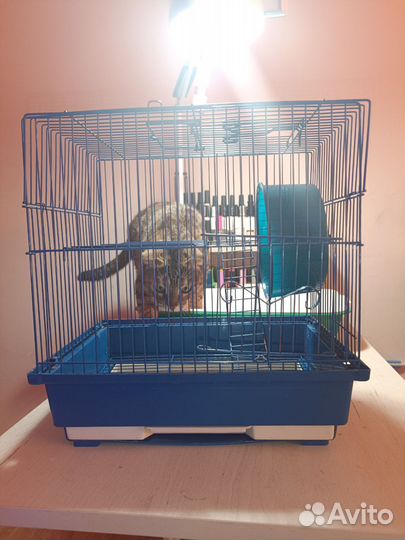 Клетка для грызуна, маленького размера 28*30