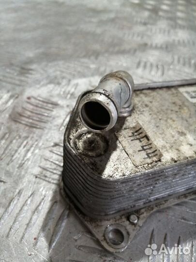 Радиатор масляный Volkswagen Tiguan SUV czda 2019