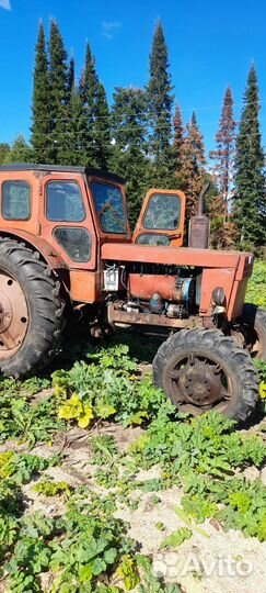 Трактор ЛТЗ Т-40AM, 1992