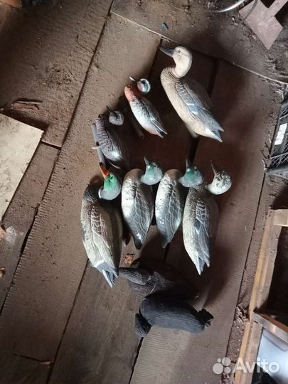 Утки чучела