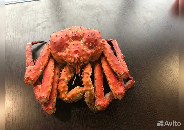 Краб Камчатский