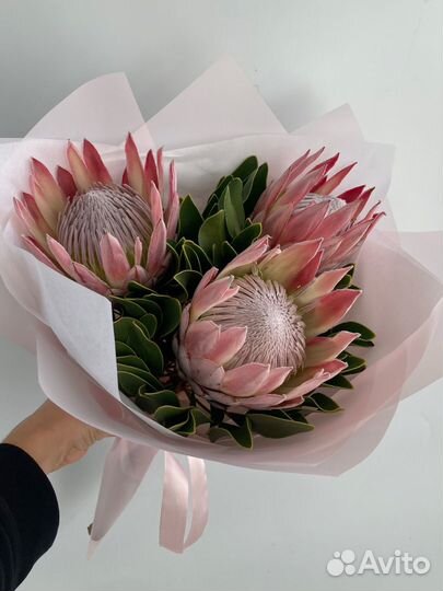 Букет из трёх протей