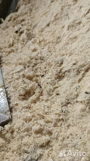 Опилки и дрова