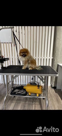 Стол для груминга