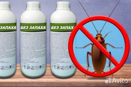 Супер средство от тараканов и клопов