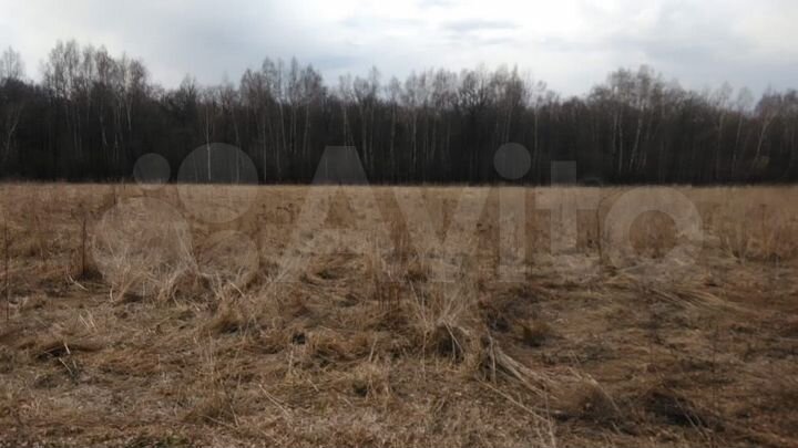 Участок 1,13 га (ИЖС)