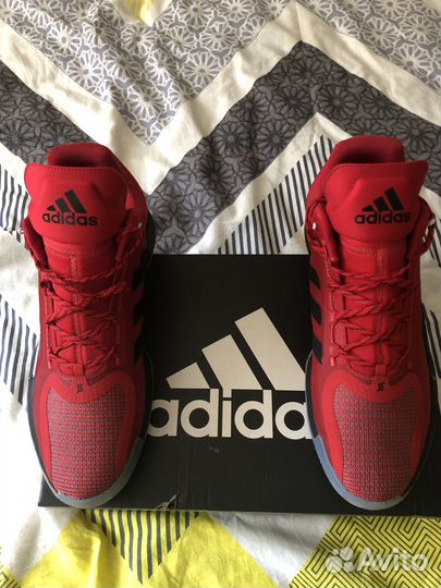 Adidas D rose 11 'Brenda'