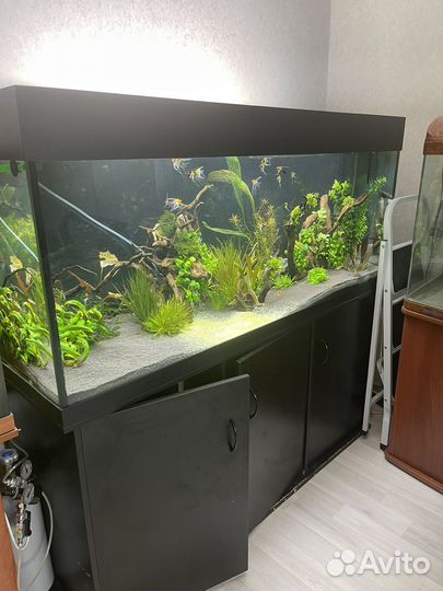 Обслуживание и запуск аквариумов