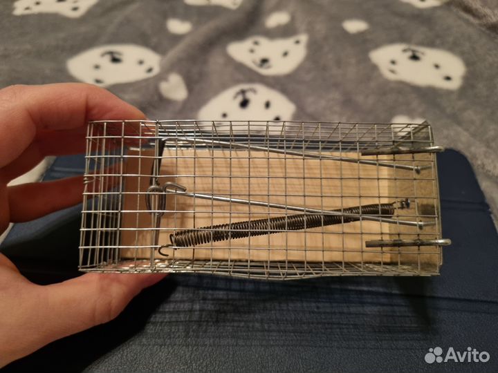 Мышеловка гуманная