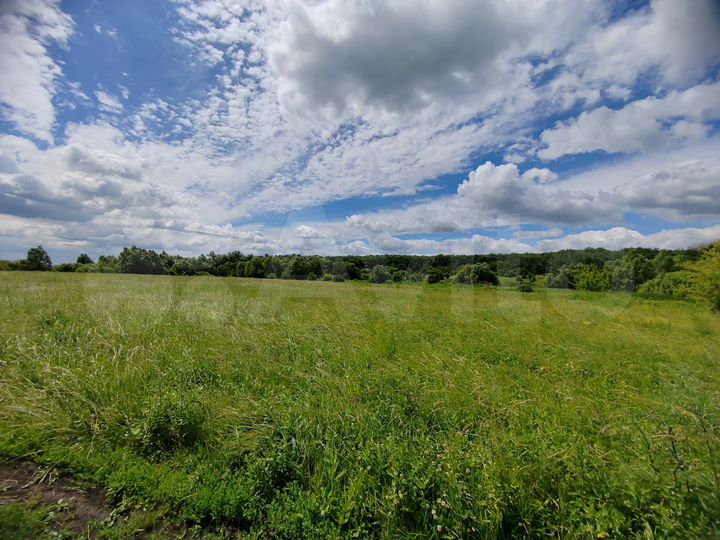 Участок 6 га (СНТ, ДНП)