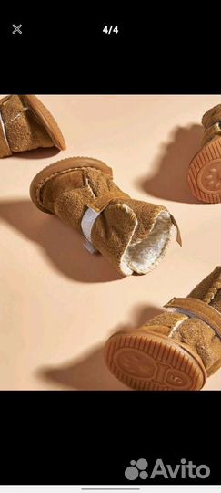 Обувь для собаки