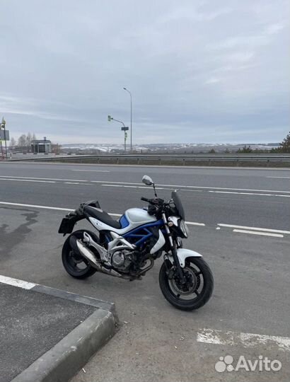 Suzuki Gladius 650