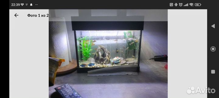 Светодиодная лампа сине бело красная для аквариума