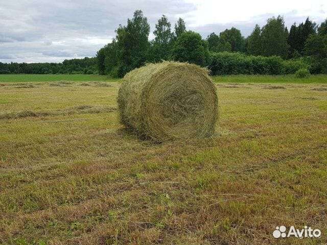Сено. Солома. Доставка