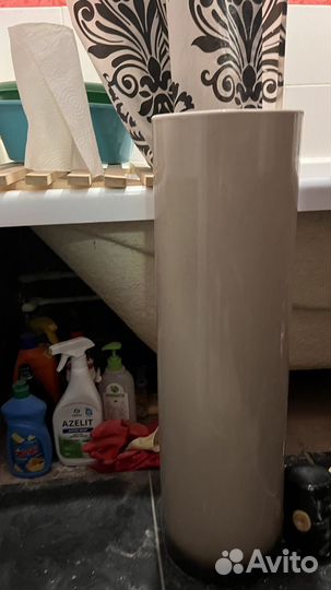 Раковина тюльпан