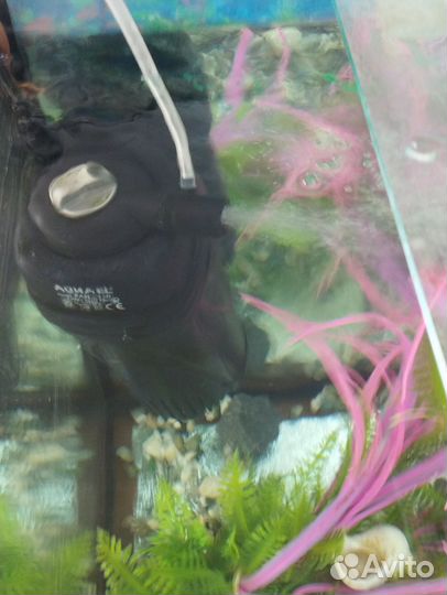 Аквариум 200л