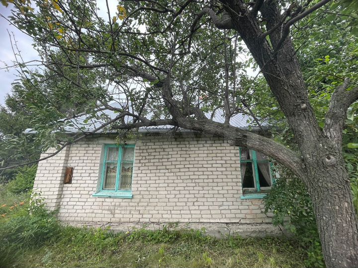 Дом 66,9 м² на участке 12 га