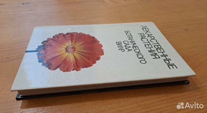 Лекарственные Растения Ботанического Сада вилр 198